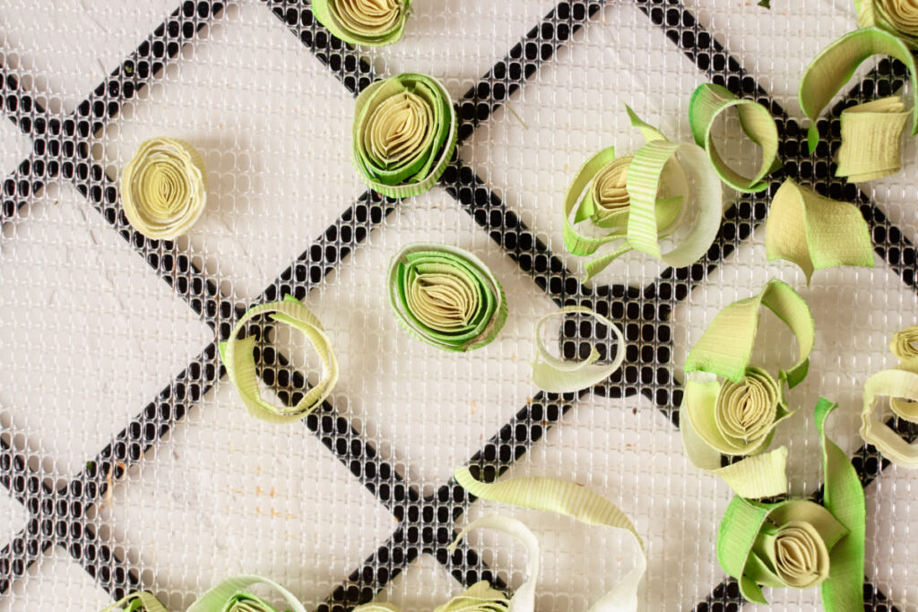 sliced Leeks on food dehydrator tray