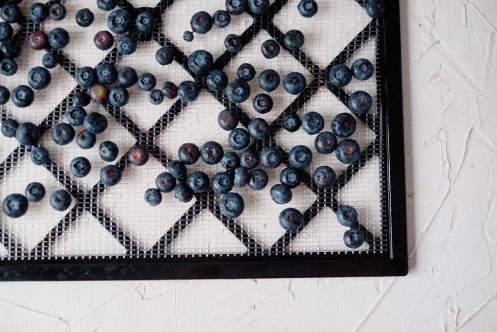 Prepare Blueberries to Dehydrate