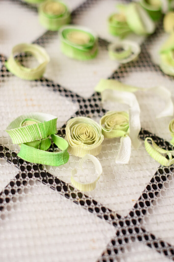 Dehydrating Leeks 