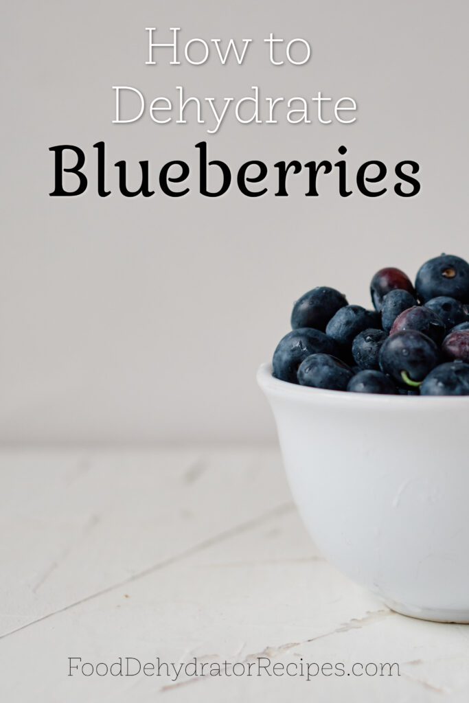 Dehydrate Blueberries Pinterest