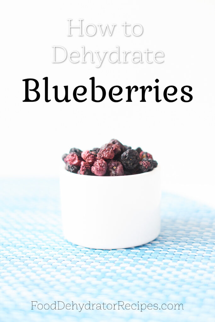 Blueberries deydrated in white bowl PInterest