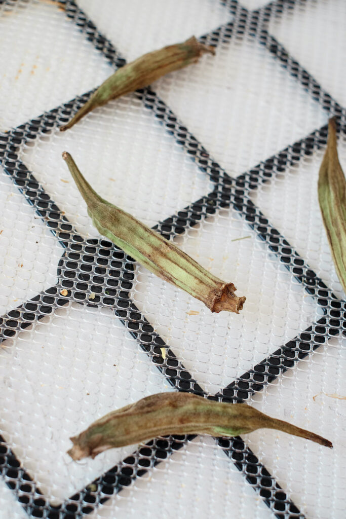 dehydrated okra on a tray