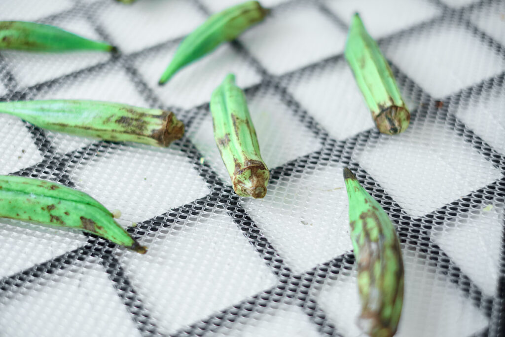 okra on a food dehydrator tray